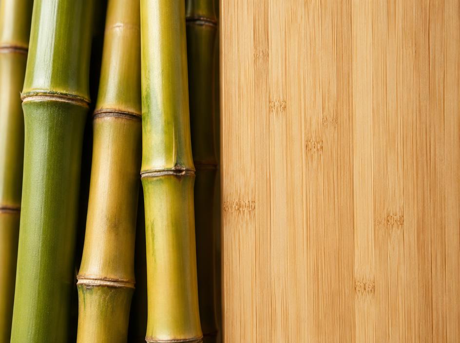 Bambu